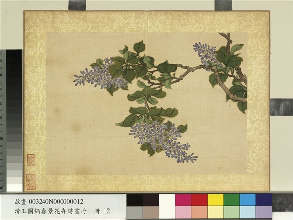 清王圖炳春景花卉詩畫冊　冊　丁香