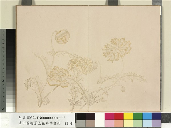 清王圖炳夏景花卉詩畫冊　冊