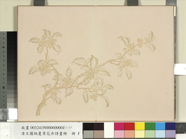 清王圖炳夏景花卉詩畫冊　冊