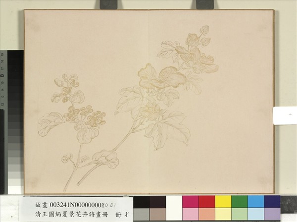 清王圖炳夏景花卉詩畫冊　冊