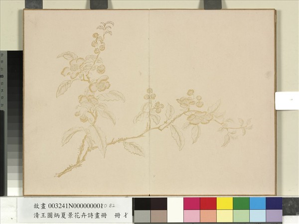 清王圖炳夏景花卉詩畫冊　冊