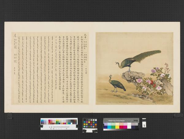 鳥譜（一） 冊鳳- 故宮