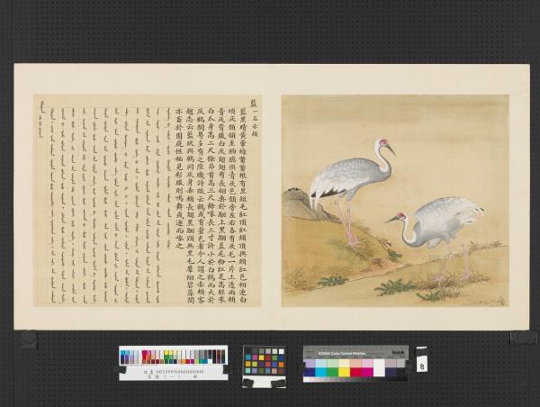 鳥譜（一）　冊　藍