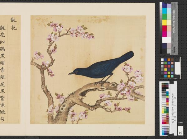 鳥譜（一）　冊　靛花