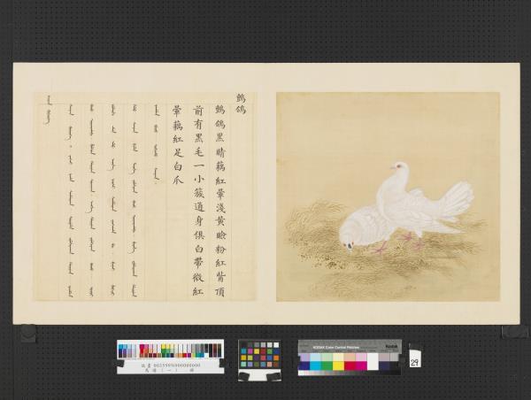 鳥譜（一） 冊藍- 故宮