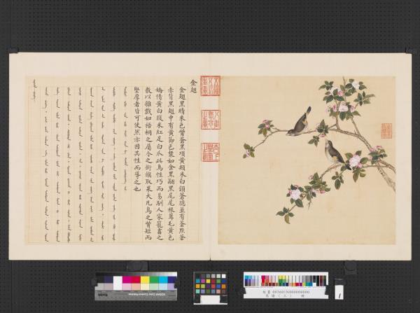 鳥譜（三）　冊　金翅