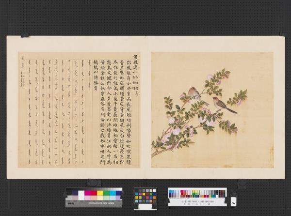 鳥譜（三）　冊　侶鳳逑