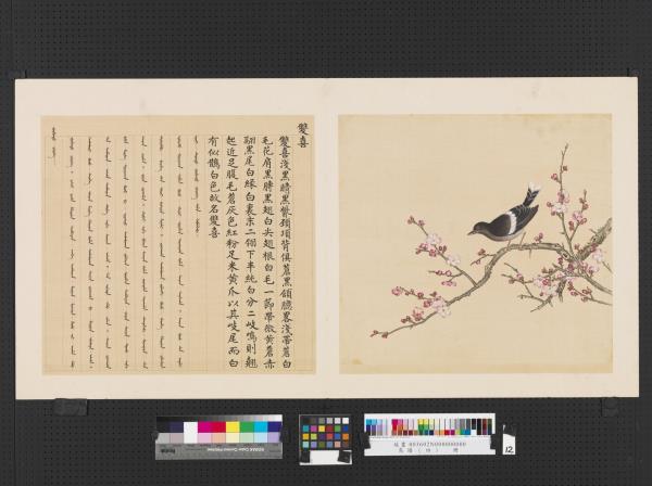 鳥譜（四）　冊　雙喜