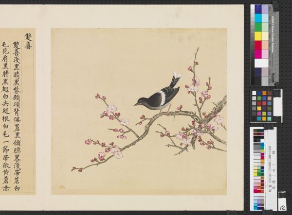 鳥譜（四）　冊　雙喜