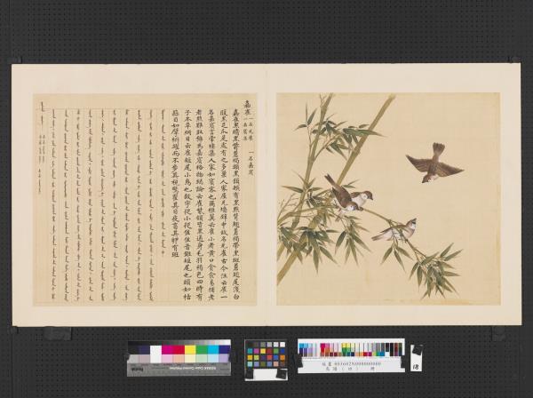 鳥譜（四）　冊　嘉雀