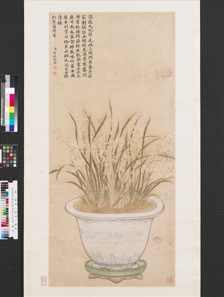 清蔣檙盆蘭　軸