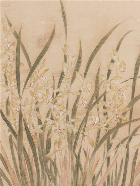 清蔣檙盆蘭　軸