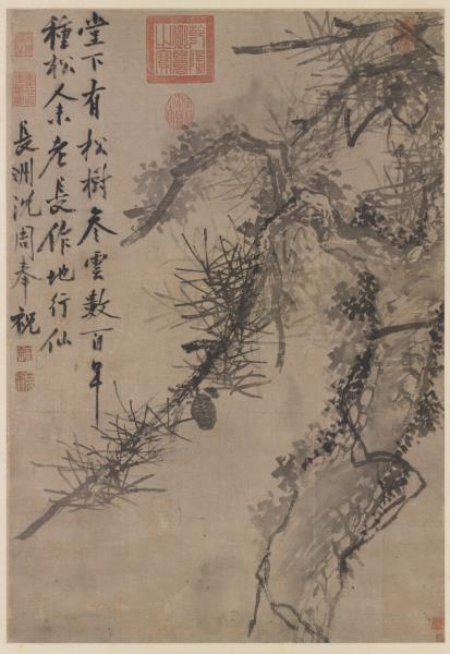 明沈周古松圖　軸