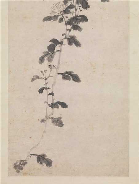 明沈周墨菊　軸