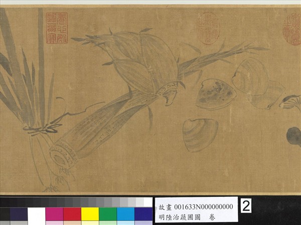 明陸治蔬圃圖　卷