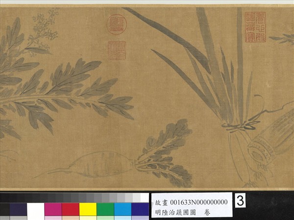 明陸治蔬圃圖　卷