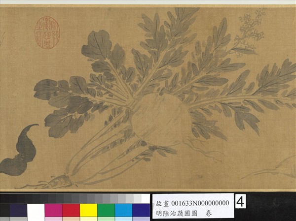 明陸治蔬圃圖　卷