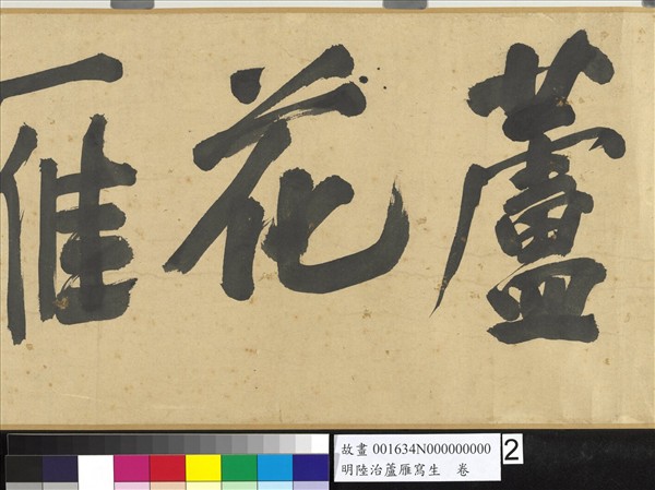 明陸治蘆雁寫生　卷