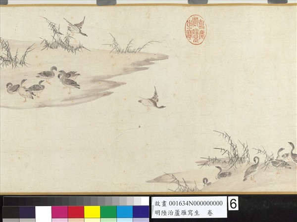 明陸治蘆雁寫生　卷