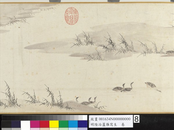 明陸治蘆雁寫生　卷