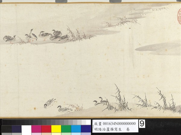 明陸治蘆雁寫生　卷