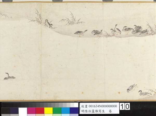 明陸治蘆雁寫生　卷
