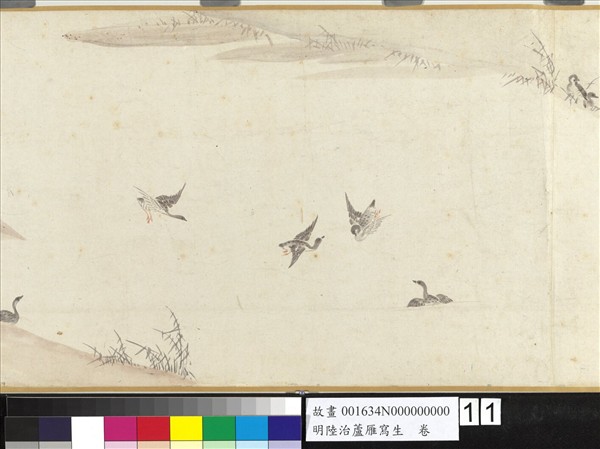 明陸治蘆雁寫生　卷