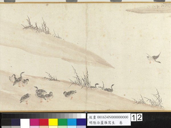 明陸治蘆雁寫生　卷
