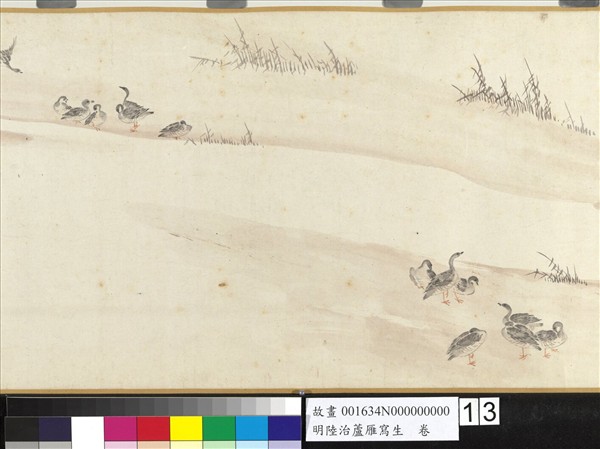 明陸治蘆雁寫生　卷