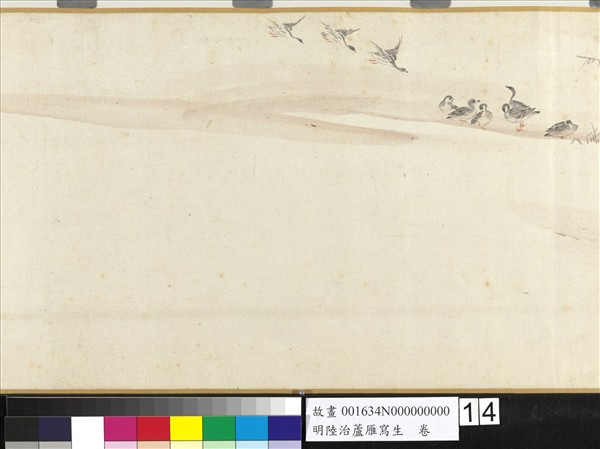 明陸治蘆雁寫生　卷