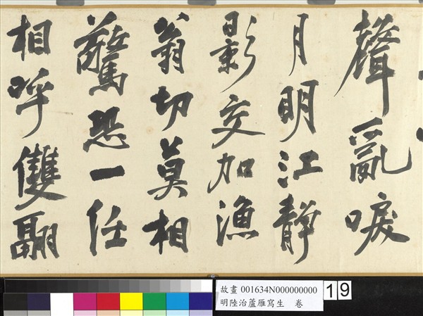 明陸治蘆雁寫生　卷