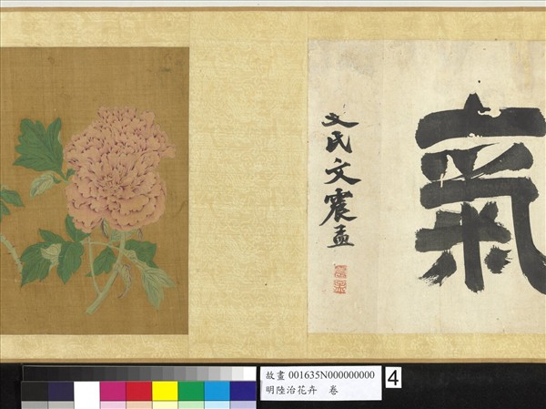 明陸治花卉　卷