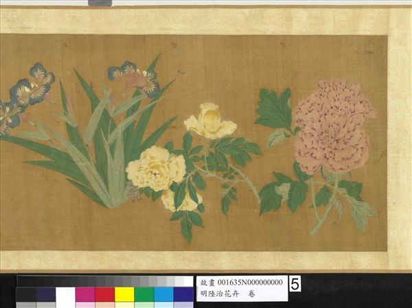 明陸治花卉　卷
