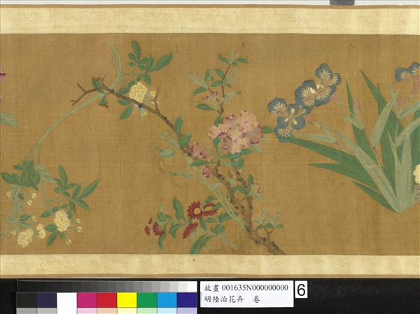 明陸治花卉　卷