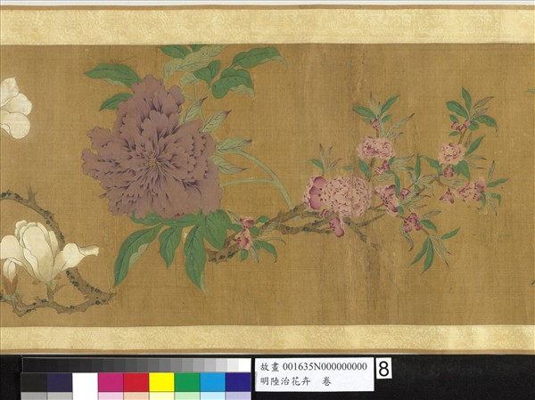 明陸治花卉　卷