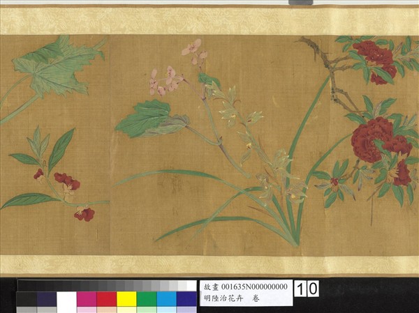 明陸治花卉　卷