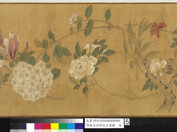 明陸治四時花卉真蹟　卷