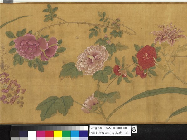明陸治四時花卉真蹟　卷