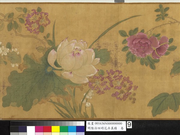 明陸治四時花卉真蹟　卷