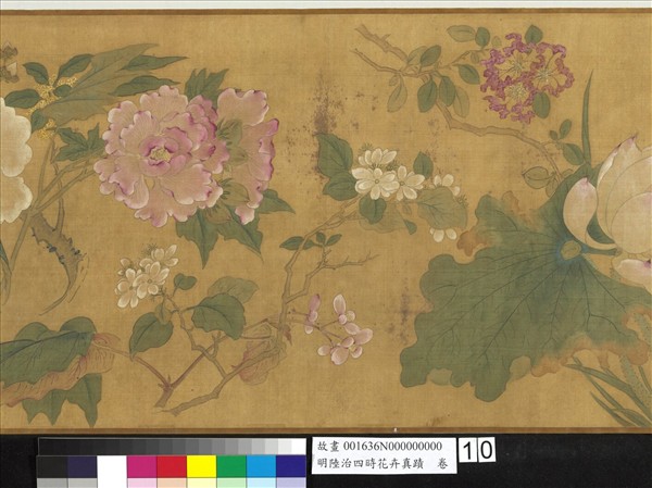 明陸治四時花卉真蹟　卷