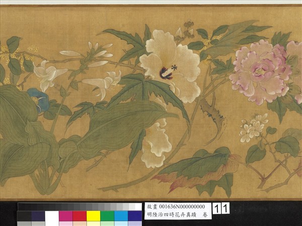 明陸治四時花卉真蹟　卷