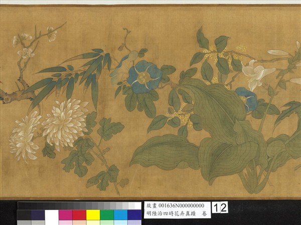 明陸治四時花卉真蹟　卷