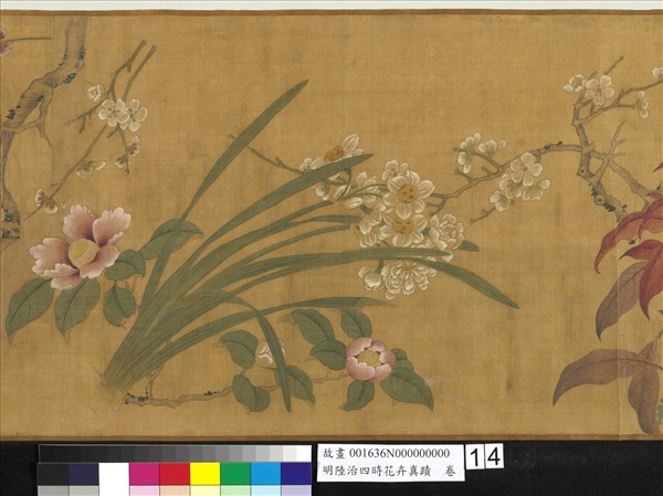 明陸治四時花卉真蹟　卷