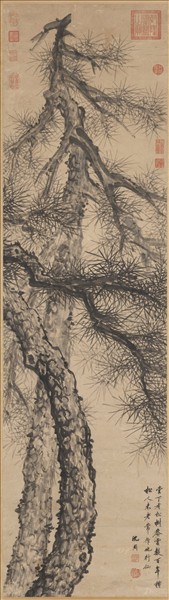 明沈周雙松　軸