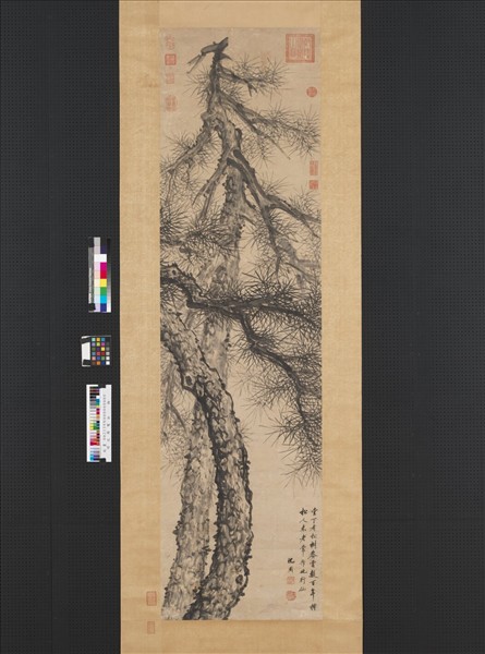 明沈周雙松　軸