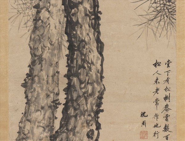 明沈周雙松　軸