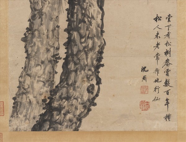 明沈周雙松　軸