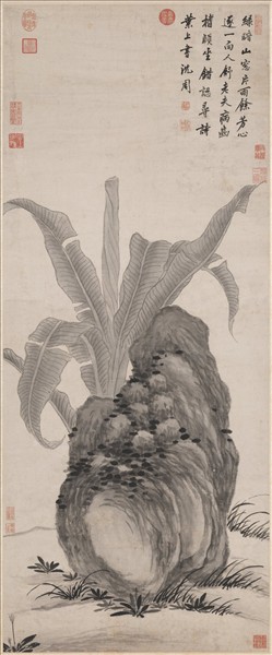 明沈周蕉石圖　軸