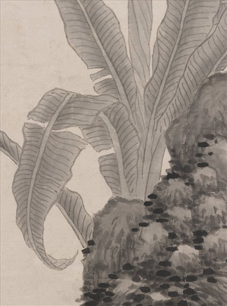 明沈周蕉石圖　軸