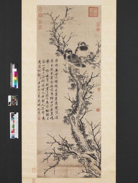 明沈周雙烏在樹圖　軸